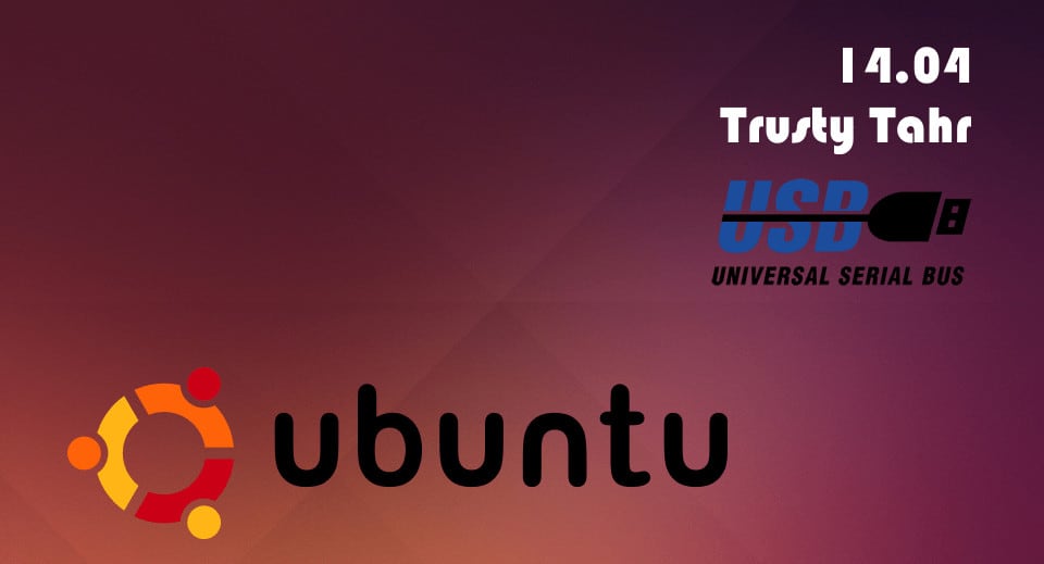 Самый простой способ установить Ubuntu Server с USB