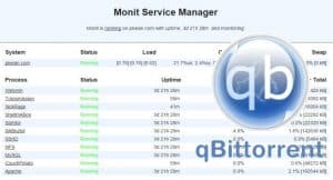 План новичка: полное руководство по установке Monit