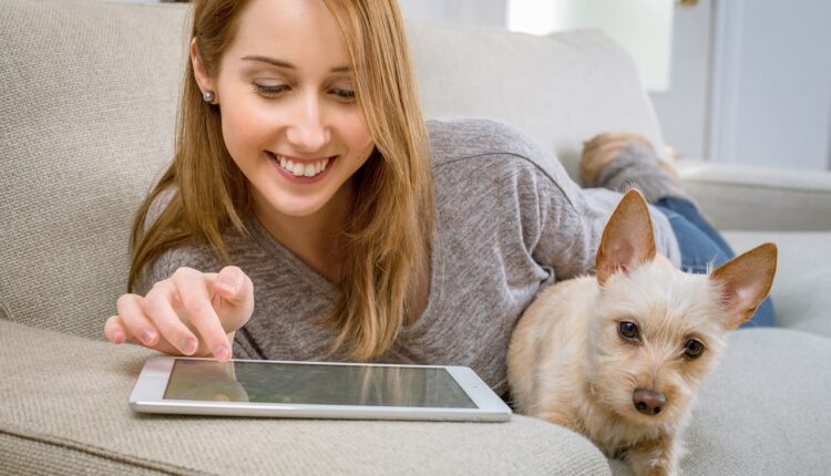 tablet, salon, animal