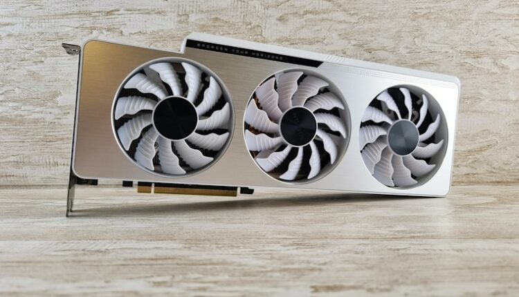 a close up of two fans on a table