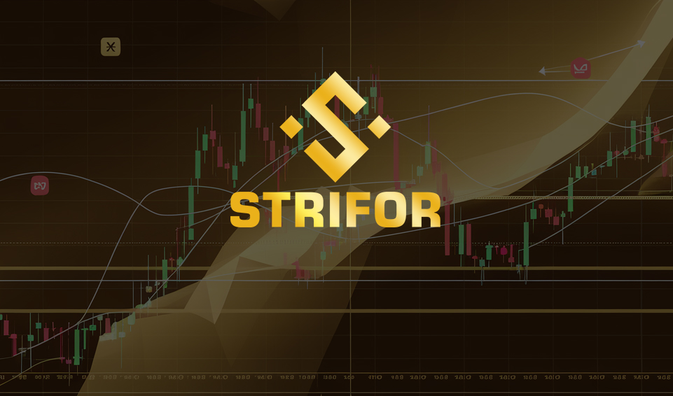 Брокер Strifor: Премии, Условия и Достижения в Мировом Финансовом Секторе