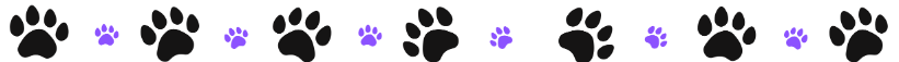 AD_4nXeS2F12X3hU0US0FGZ4gjfgorgAqUIHgFmMIPGiCkQbYUFhQKIaTDInQmbAv4uElmxvGsxu5FOzLQoGtenB4F_PCkATU94hzikw7hKnfwpgA8Vc08WpouD4QTj7a_vuk3DmgNH7ng?key=JM9CfnwHZebLxQVnqMUwNWFc