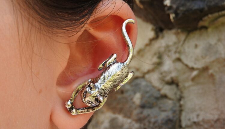 earring, cat, silver, pet, animal, ear