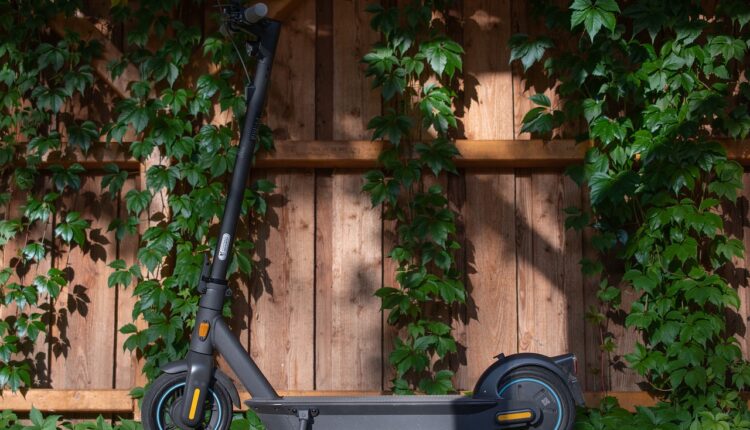 e-scooter, scooter, electric scooter, calm, mobility, speedster, mobile, emission-free, kick scooter, ninebot g30d, segway, e-scooter, scooter, electric scooter, electric scooter, electric scooter, electric scooter, electric scooter